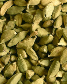 Cardamom Organic